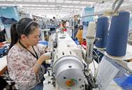 Vietnam’s five-month trade surges despite global uncertainties